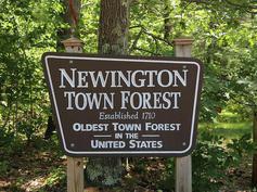 Newington, NH 03801